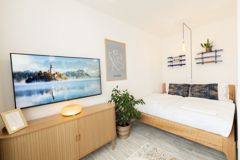 Spací část apartmánu s manželskou postelí, televizí a koberečkem